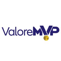ValoreMVP logo - Similar company to Novaera Solutions