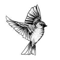 Roost & Rise