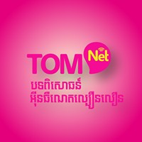 TOMNETISP logo - Similar company to Fastone