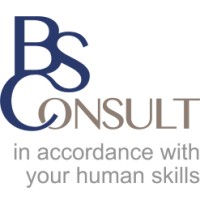 BSConsult GmbH logo - Similar company to Installhub