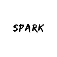 Spark Retail and Technology Limited logo - Similar company to Masternext Technologies Private Limited