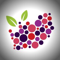 Berries ZA logo - Similar company to Tsalofresh