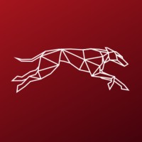 Dogfinance.com logo - Similar company to Tekkit.Io