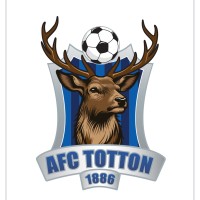 AFC Totton Football Club Ltd logo - Similar company to Mousehole Afc