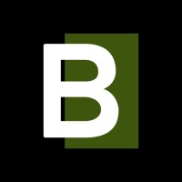 Bonsai Advisory Group logo - Similar company to Sv Anatolia