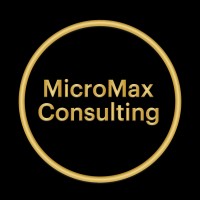 MicroMax Consulting logo - Similar company to Santra Ltd