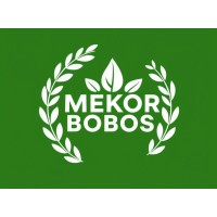 MEKOR BOBOS logo - Similar company to Link-Up Cameroon