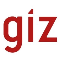 GIZ Tunisie logo - Similar company to Invest For Jobs - Special Initiative 