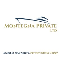 Montegna Private LTD logo - Similar company to Procantys