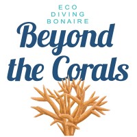 Beyond The Corals logo - Similar company to Prolimit