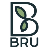 BRU AG logo - Similar company to Blockstrom