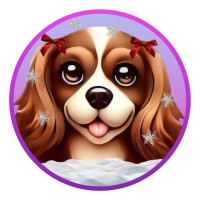 SheliApp logo - Similar company to Magic Studio