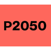 Project 2050 logo - Similar company to Fintech Nations