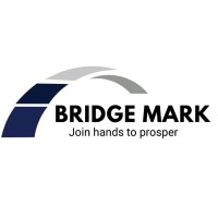 BridgeMark Pakistan logo - Similar company to Foundation Fighting Poverty