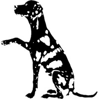 Dotspot logo - Similar company to Launch Chapel Hill