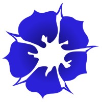 Seyal Infotech Official logo - Similar company to Aarlon Software Solutions Llp
