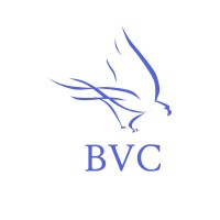 ByrdView Capital logo - Similar company to Priority Business Brokers Llc.