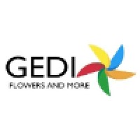 GEDI BV logo - Similar company to 93.3 Flz