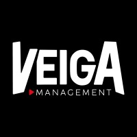 Veiga Management logo - Similar company to Ajf Gestion Privée