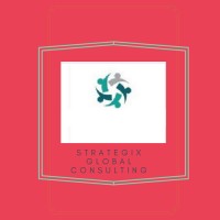 Strategix Global Consulting logo - Similar company to Sarn Consulting, Inc.