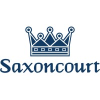 Saxoncourt Group logo - Similar company to Gokpop