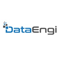 DataEngi logo - Similar company to Scalhive