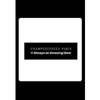 ChampsElysees_Paris logo - Similar company to Comité Du Faubourg Saint-Honoré