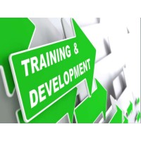 Training and Development Middle east logo - Similar company to Business Leadership Training Co.
