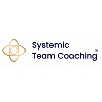 Systemic Team Coaching® logo - Similar company to Dig It Play