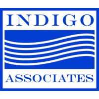 Indigo Associates logo - Similar company to Finity Corp