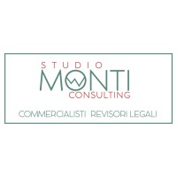 Monti Consulting logo - Similar company to Profass - Studio Consulenza Societaria E Tributaria