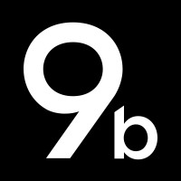 Ninebright Group logo - Similar company to Sensus Labs