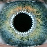 Visual Artificial Intelligence Laboratory @ Oxford Brookes