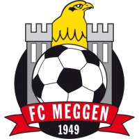 FC Meggen logo - Similar company to Zug 94