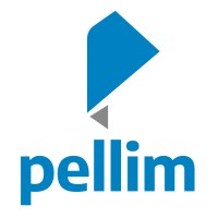 Pellim - Consultoria em Documentação logo - Similar company to Pdvseven