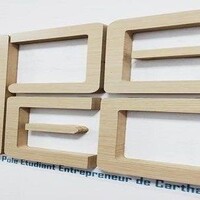 POLE ETUDIANT ENTREPRENEUR DE CARTHAGE-PEEC logo - Similar company to Stellaris Consulting