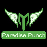 Paradise Punch logo - Similar company to A1 Digital Solutions Inc
