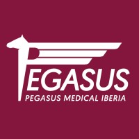 Pegasus Medical Iberia logo - Similar company to Mediroll Ltd