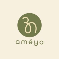 Ameya logo - Similar company to Solarlagao.Com