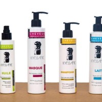 KYDJANIE COSMETICS logo - Similar company to Scentis
