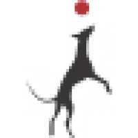 Zoomies, Dog Daycare And Training Centre