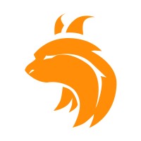 Night Lynx Studio