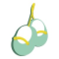 Glibayi logo - Similar company to Squircle Capital