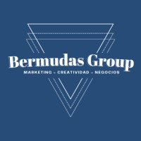 Bermudas Group logo - Similar company to Starmids Ltd