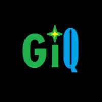 GizmoQuest Computing Lab logo - Similar company to Qspectra Technologies