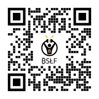 BSLF LLC logo - Similar company to Rax Mining Ltd