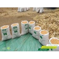 Sudanese crops market logo - Similar company to Afri General Trading Co. Ltd