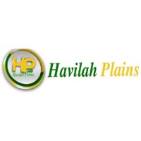 Havilah Plains Company Limited logo - Similar company to Nguvu Global Ltd