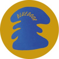 Bluedoor logo - Similar company to Rtl Creative, Inc.