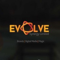 Evolve Synergy Limited